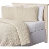 Queen Coastal Beach Starfish Seashells Seahorse Sand Tan 3-Piece Quilt Set