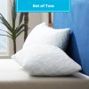 Set of 2 - Shredded Memory Foam Bed Pillows with 2 Pillowcases - Standard size